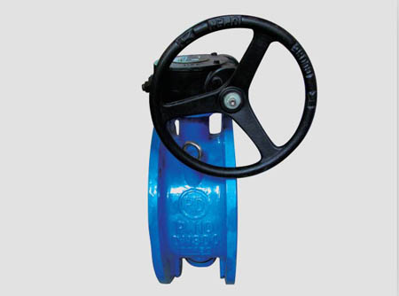 D343X Flanged Butterfly Valve
