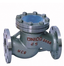 Lift Check Valve