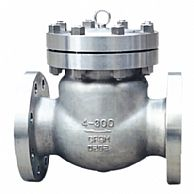 ANSI Stainless Steel Swing Check Valve