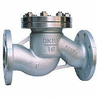 Stainless Steel Lift Check Valve