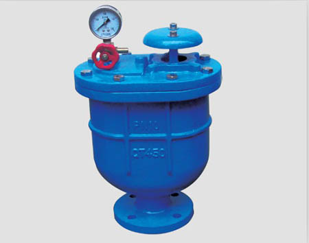 CARX Clean Water Compound Air Release Valve