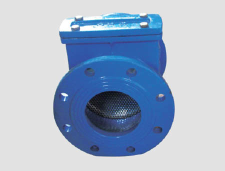 SGH Strainer