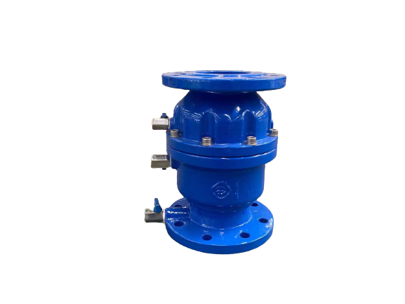 Backflow Preventer